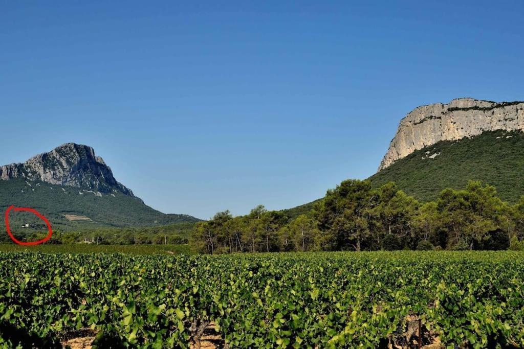 Gite Du Pic Saint Loup Valflaunes Exterior foto
